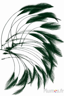 Hahn - 10-15 cm - tannengrün